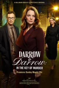 Darrow & Darrow 2 İndir 2018 Türkçe Dublaj 1080p
